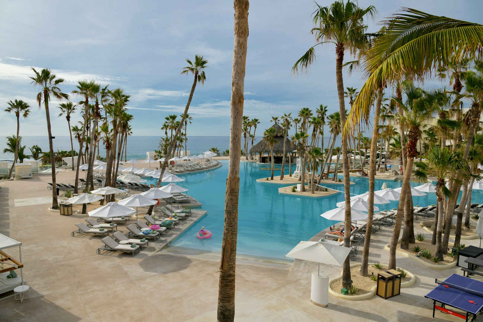 Palm-lined infinity pool overlooking the ocean at a tropical beach resort